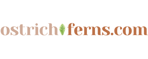 Ostrichferns.com